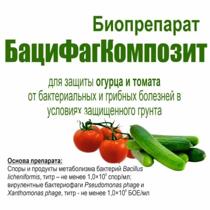 БациФагКомпозит